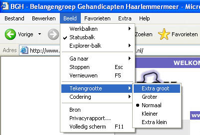 picture of Internet Explorer