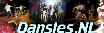 logo van en link naar Dansles.nl