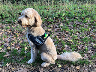 foto van en link naar blog Borre